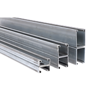 Walraven RapidStrut® channel Double (BUP)