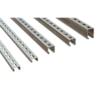 Walraven RapidStrut® channel (pg) (USA)