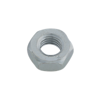 Walraven Hexagon Nut (hdg)