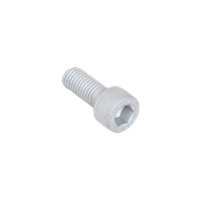 Walraven Socket Head Bolt (BUP1000)