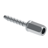Walraven W-LX-N Concrete Screw