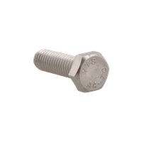 Walraven Stainless Steel Hexagon Head Screw