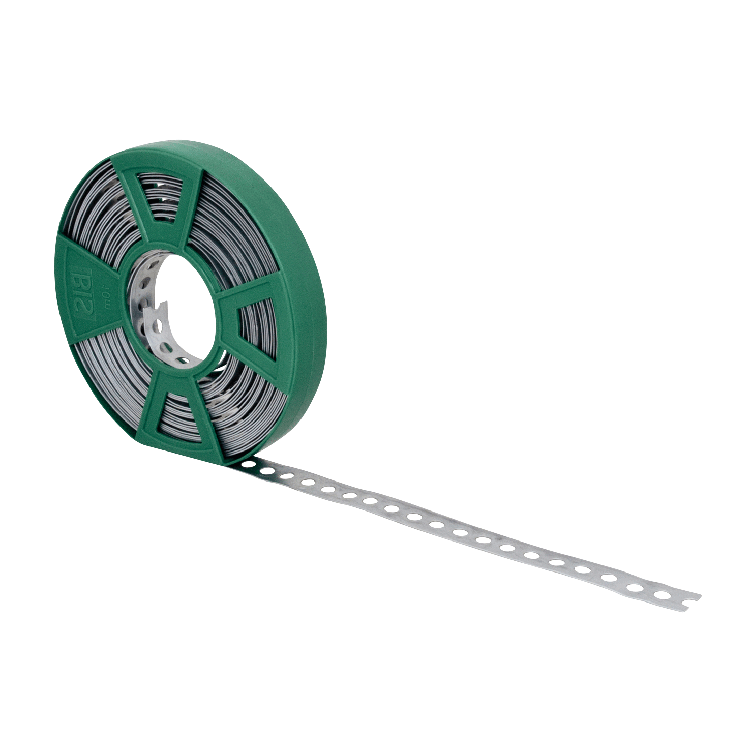 Fixing band