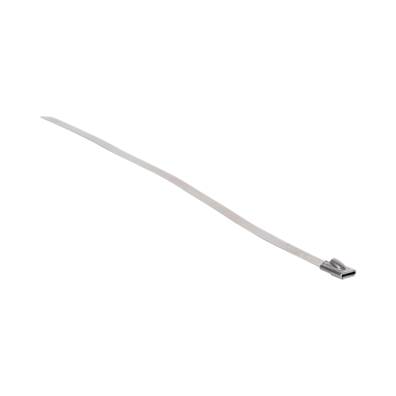 Walraven Cable Tie-Wrap SSt 200x5mm